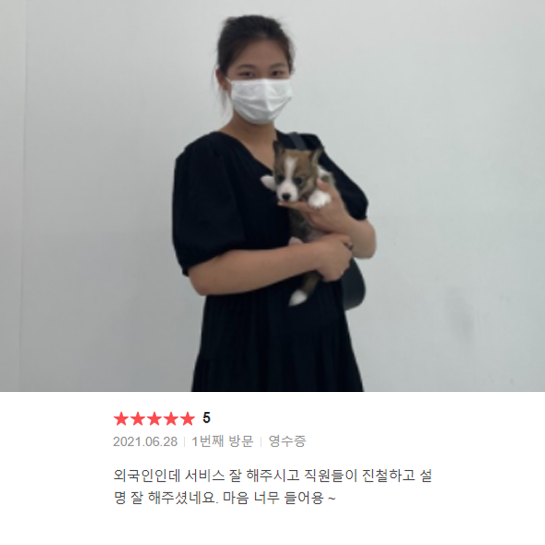 분양후기